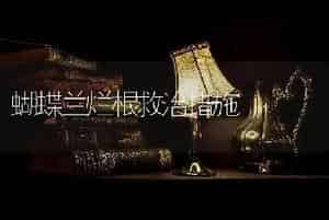 蝴蝶兰烂根救治措施