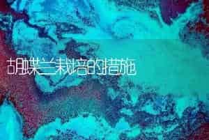 胡蝶兰栽培的措施