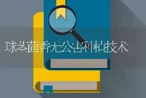 球茎茴香无公害种植技术