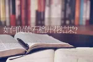 如何促使石榴开花结果?