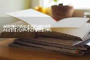 增香添味的香菜