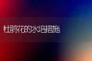 杜鹃花的水培措施