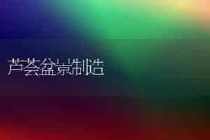 芦荟盆景制造