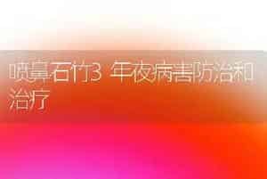 喷鼻石竹3年夜病害防治和治疗