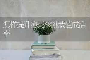 怎样提升薄壳核桃栽植成活率