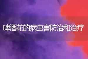 啤酒花的病虫害防治和治疗