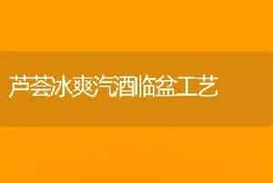 芦荟冰爽汽酒临盆工艺