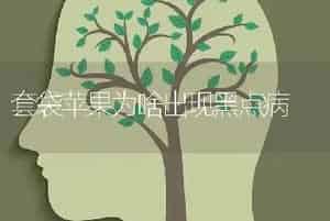 套袋苹果为啥出现黑点病