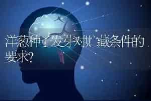 洋葱种子发芽对贮藏条件的要求？