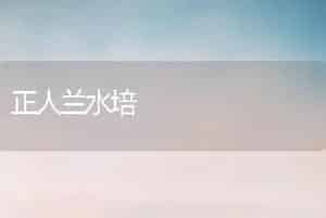 正人兰水培