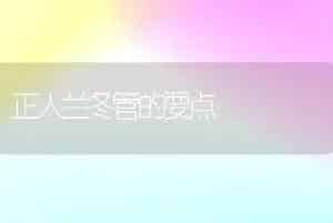 正人兰冬管的要点