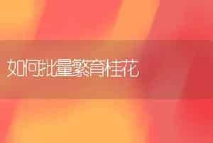 如何批量繁育桂花