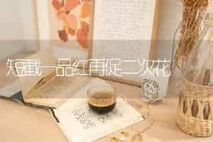 短截一品红再促二次花