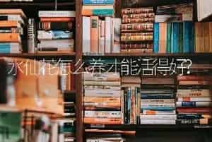喷鼻石竹冬春时扦插