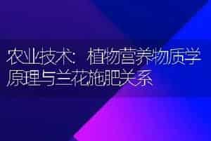 农业技术:植物营养物质学原理与兰花施肥关系