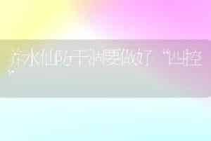 养水仙防干涸要做好“四控”