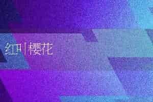 红叶樱花