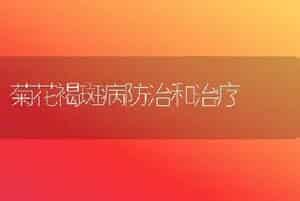 菊花褐斑病防治和治疗