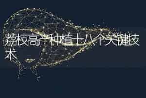 荔枝高产种植十八个关键技术