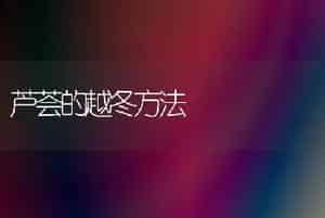 芦荟的越冬方法