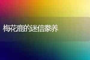 梅花鹿的迷信豢养