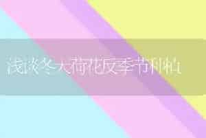 浅谈冬天荷花反季节种植