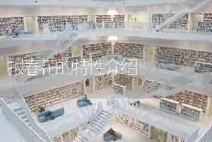 喷鼻石竹冬春天的扦插