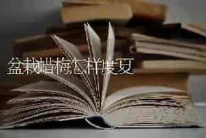 盆栽蜡梅怎样度夏