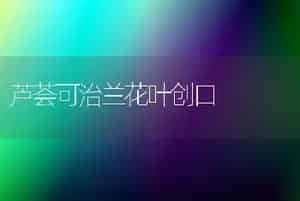 芦荟越冬留意防冻治理