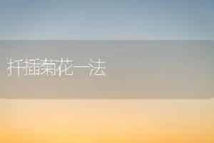文竹罕见病虫害及其防治和治疗方法