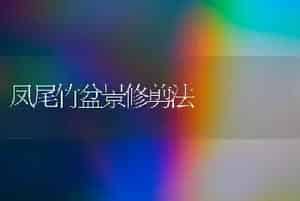 药菊花繁茂病的防治和治疗
