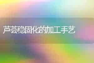 芦荟稳固化的加工手艺