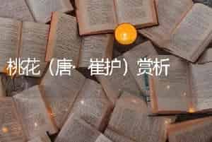 桃花（唐·崔护）赏析
