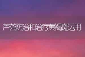 芦荟防治和治疗黄褐斑运用