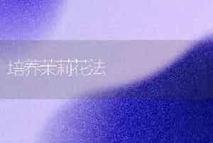 培养茉莉花法