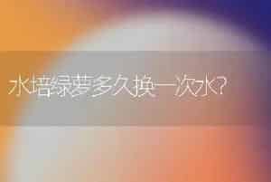 水培绿萝多久换一次水？