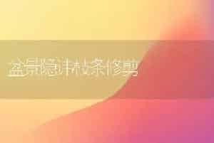 盆景隐讳枝条修剪