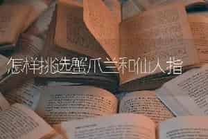 冬天怎样防治和治疗文竹黄叶？