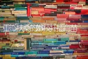 重瓣扶桑的嫩枝扦插育苗