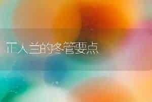 正人兰的冬管要点