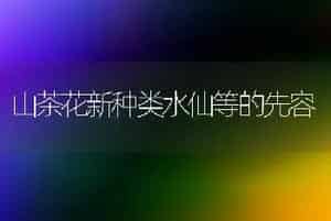山茶花新种类水仙等的先容