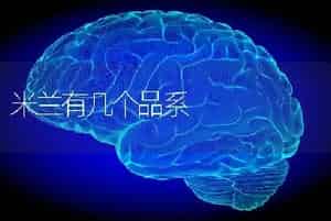 米兰有几个品系