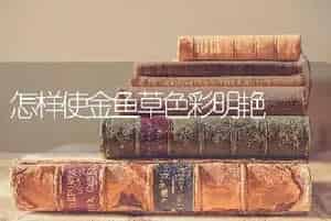 月季花的冬天繁育