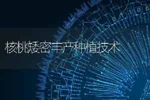 核桃矮密丰产种植技术
