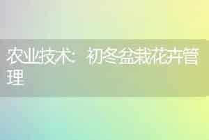 农业技术:初冬盆栽花卉管理