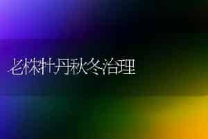 老株牡丹秋冬治理