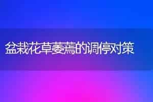 盆栽花草萎蔫的调停对策