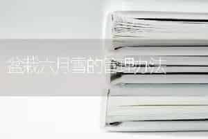 盆栽六月雪的管理办法