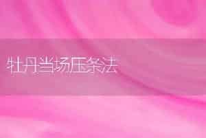 牡丹当场压条法