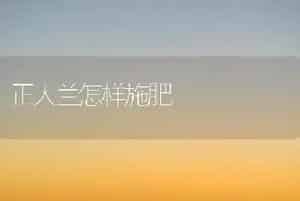正人兰怎样施肥